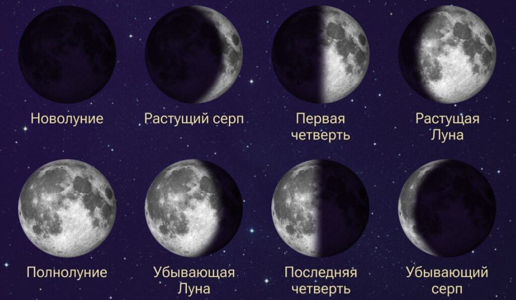 Схема фаз луны